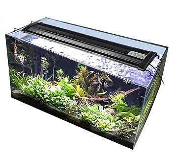 ぱじか星人　120cm水槽　ライト ぱじか星人 120cm水槽 ライト 81LFv6UWdTL._UF350,350_QL50_.jpg